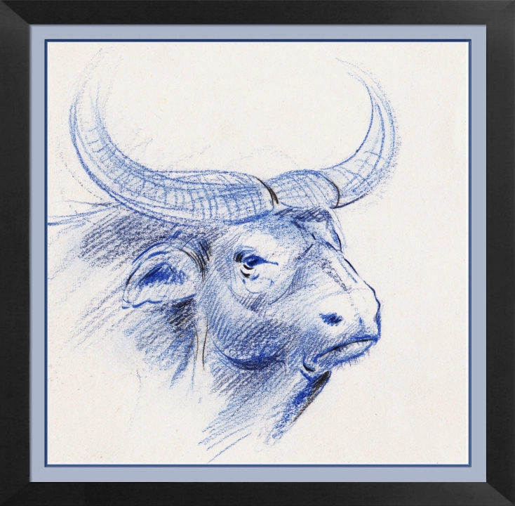 Buffle crayon de couleur sur papier blanc 120 x 120 mm