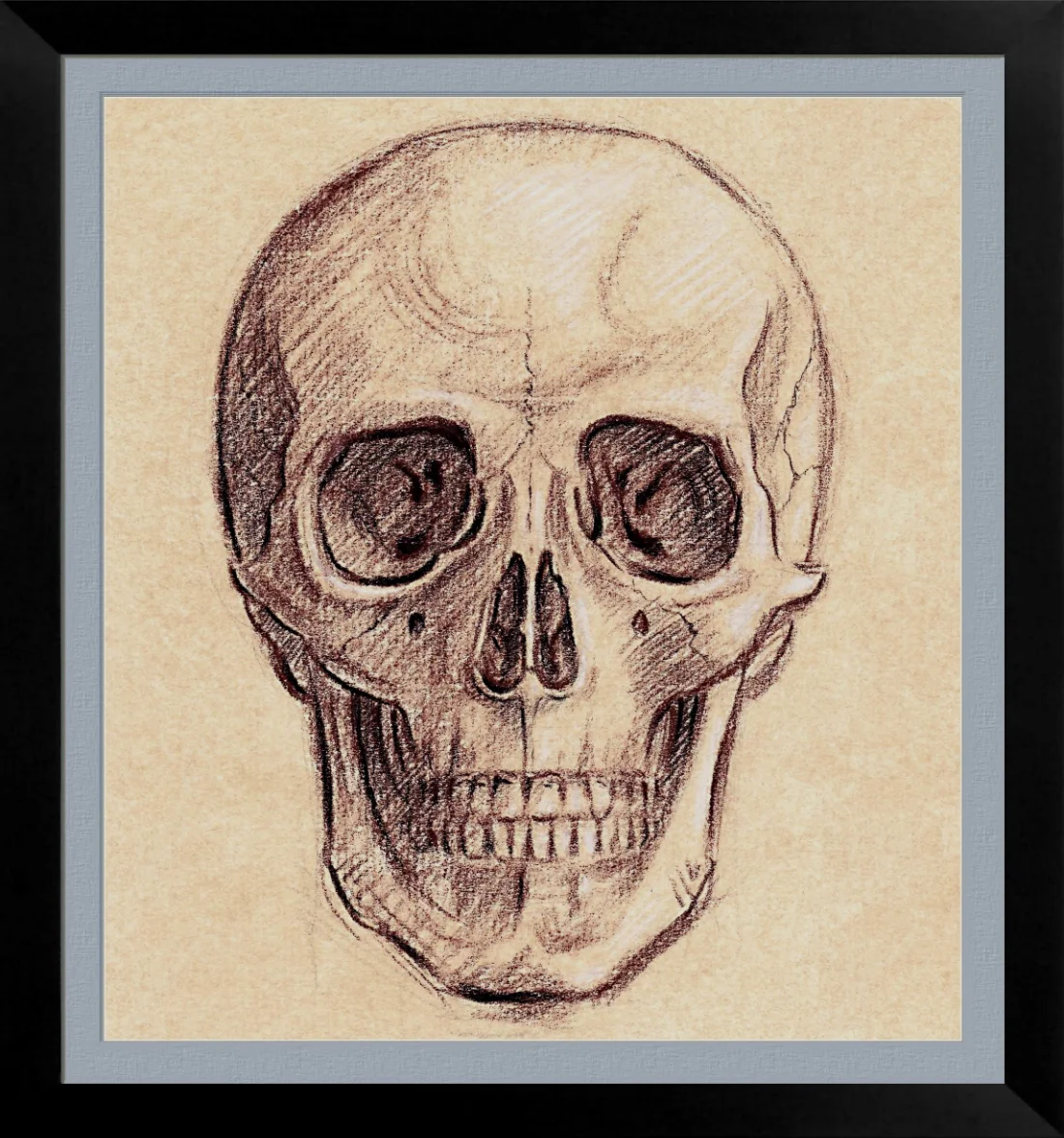 Vanitas crayon conte sepia et pierre noire rehauts de craie blanche sur papier ingres prepare 200 x 180 mm