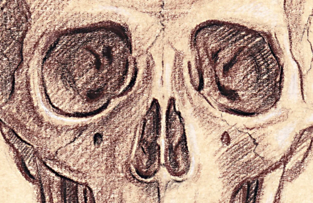 Vanitas detail crayon conte sepia et pierre noire rehauts de craie blanche sur papier ingres prepare 200 x 180 mm