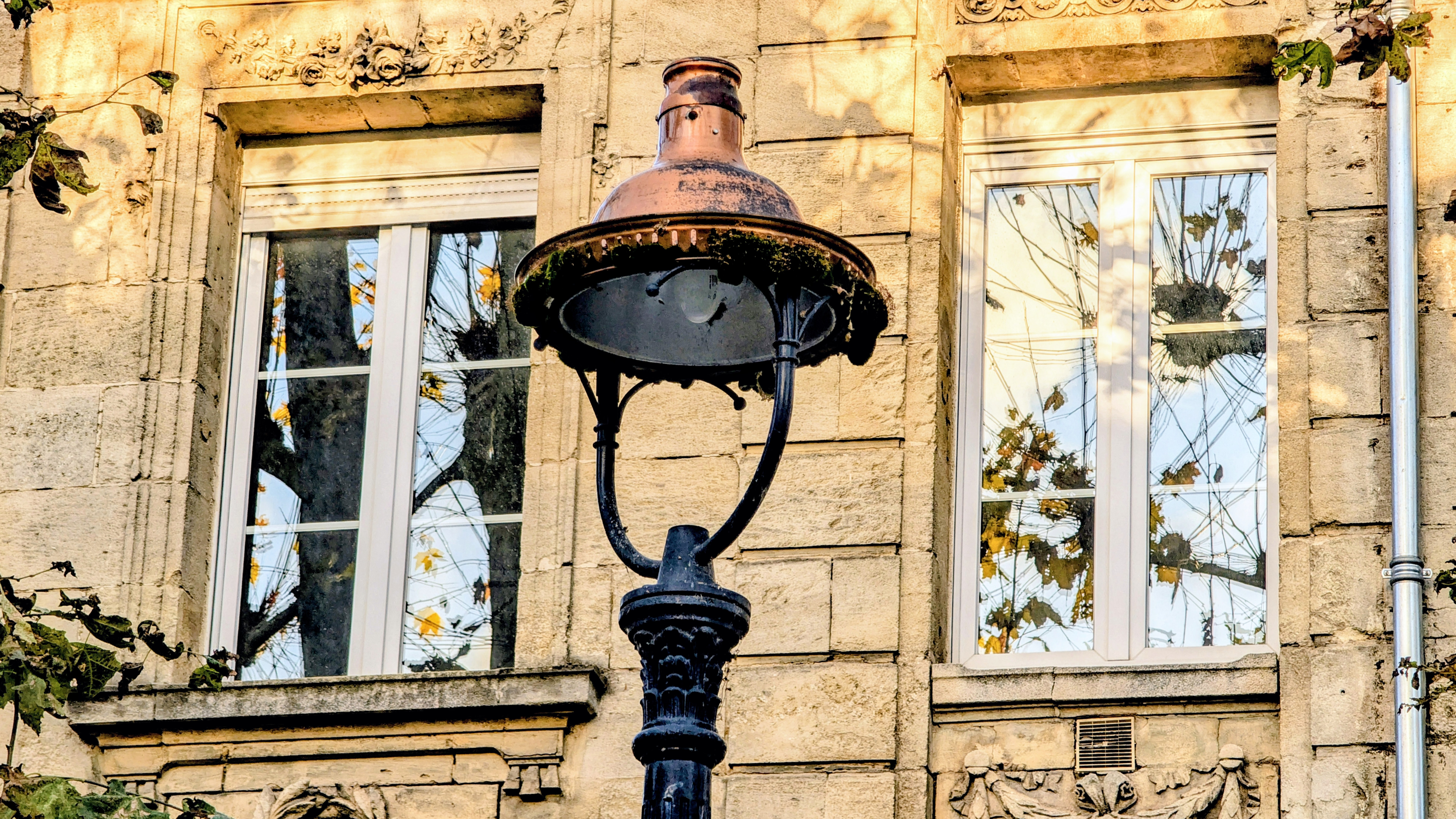 Pxl 20251203 152224588 3