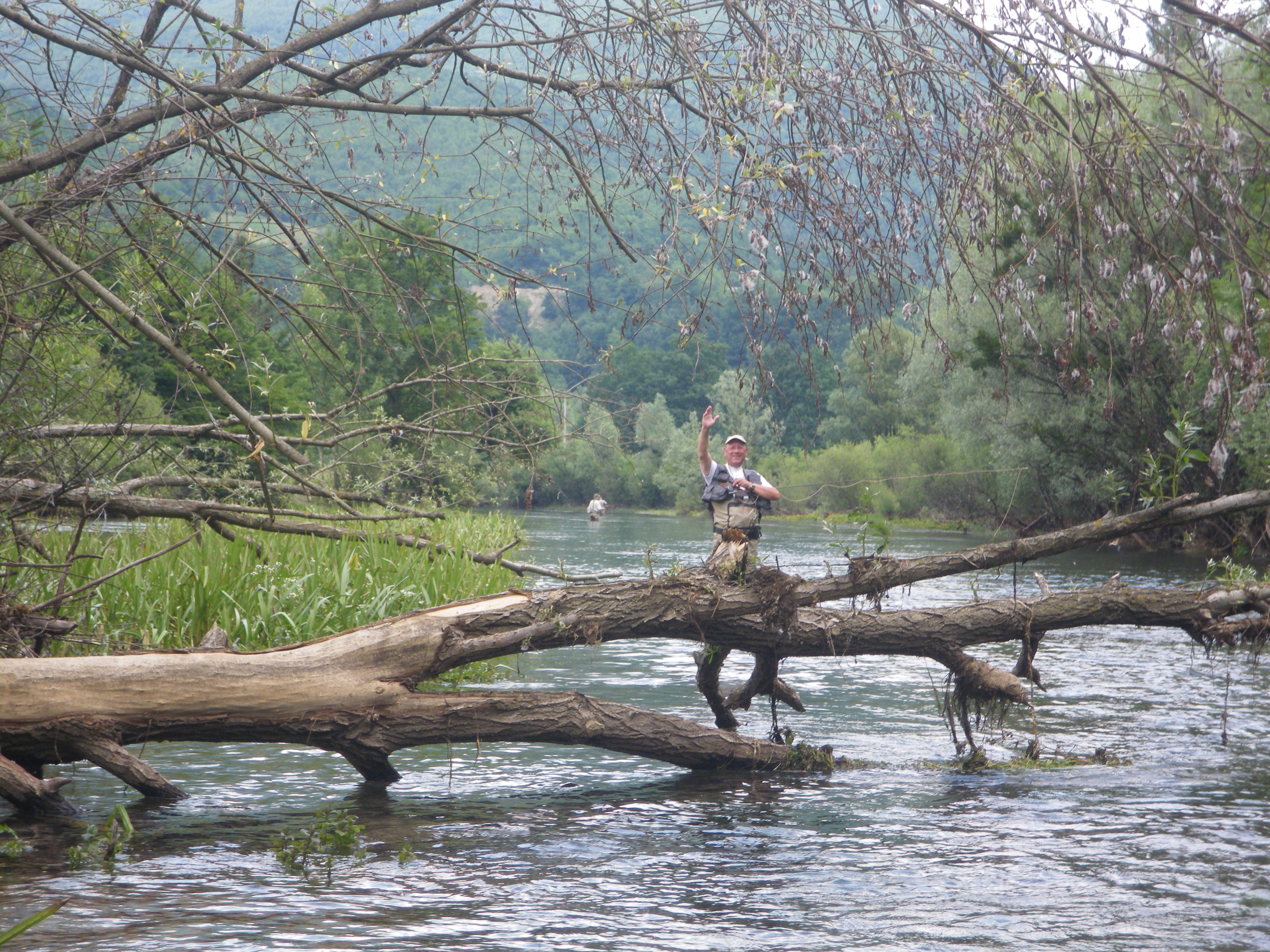 Imgp0026