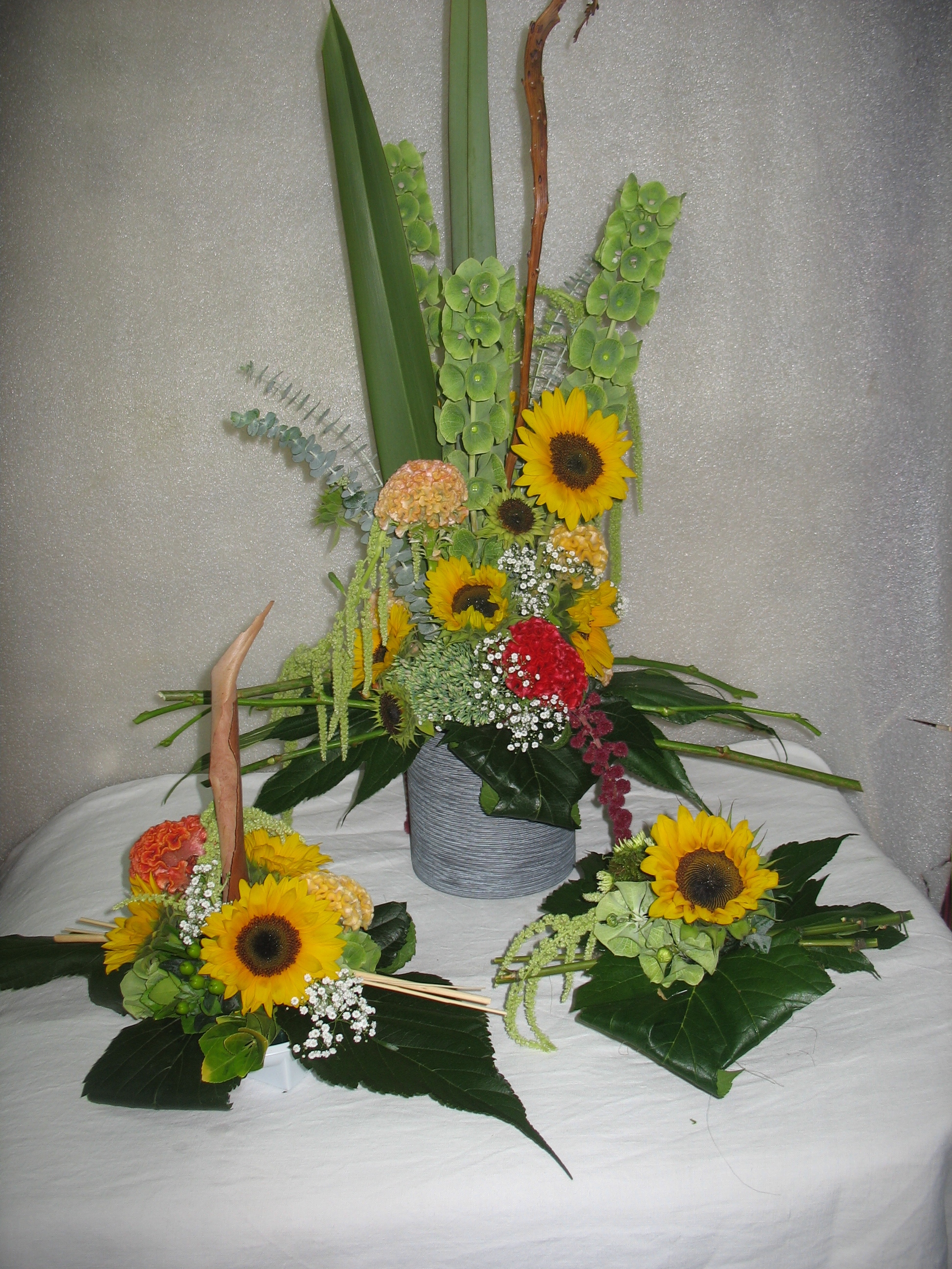 IMG 4517