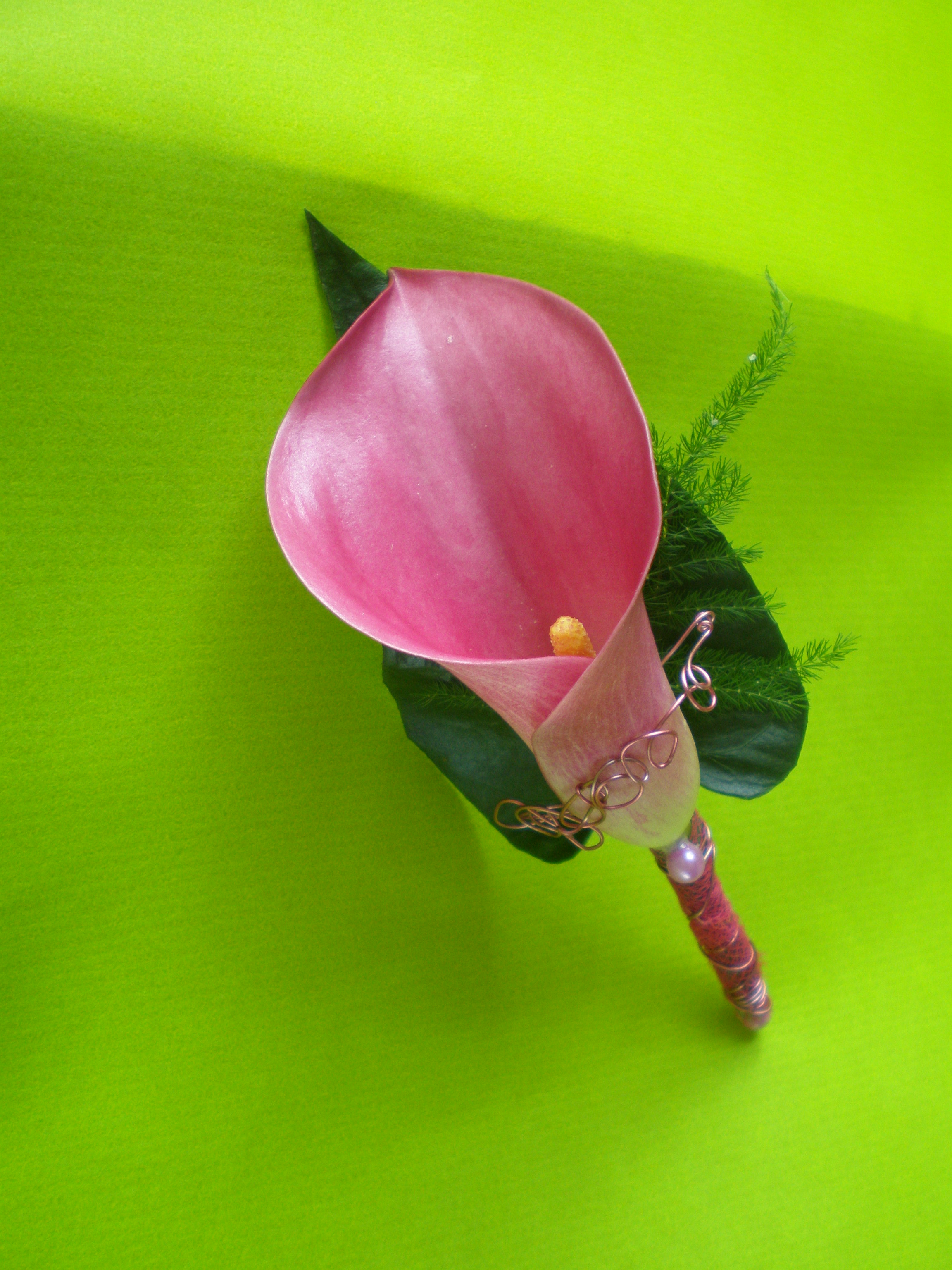 P7190043