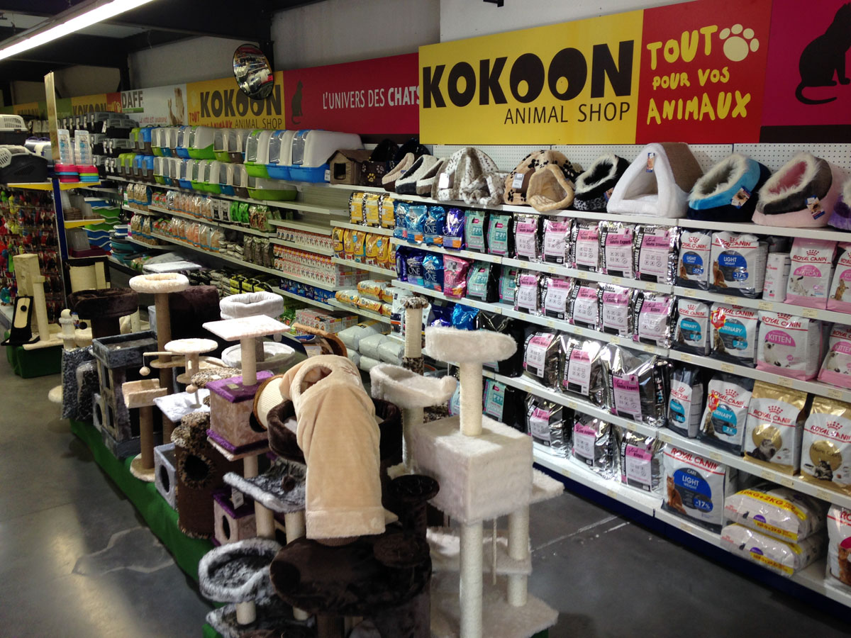 Kokoon briancon 02