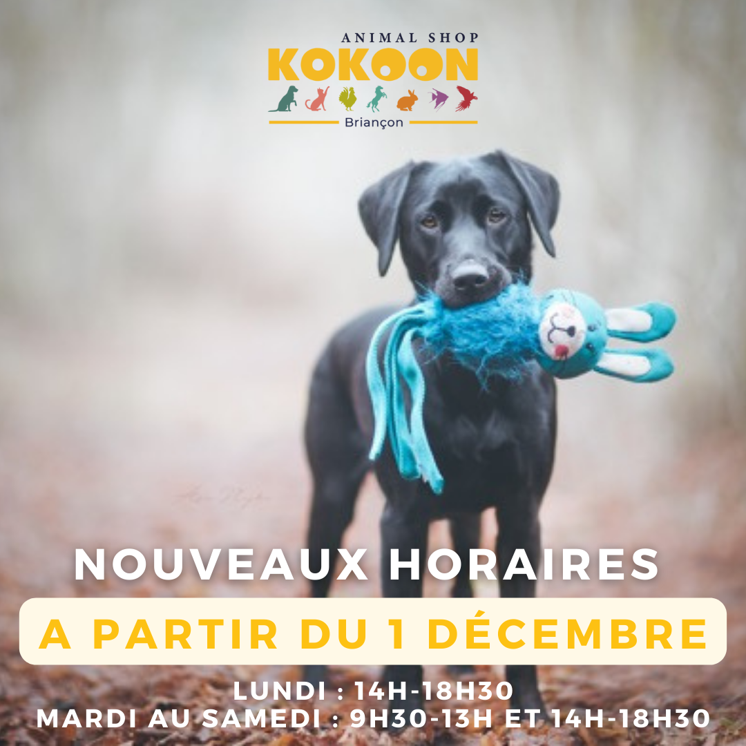 Briançon à partir du 01/12
