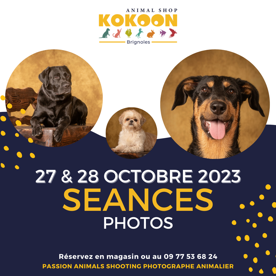 Brignoles les 27 & 28 octobre