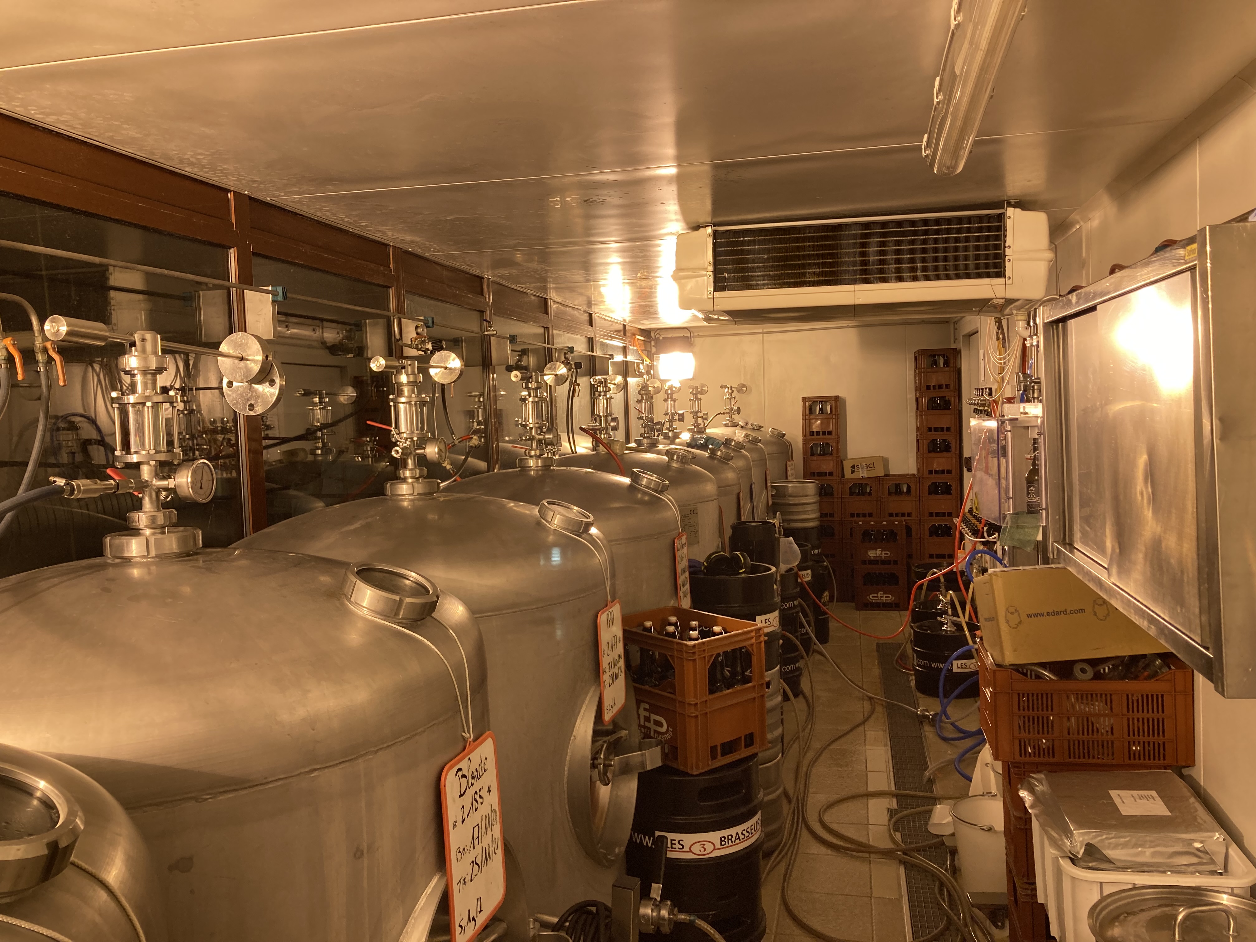 Bsp1