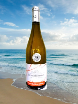 2023 charpentier 250 pixels removebg preview