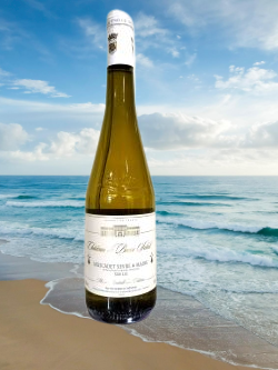 2023 cheneau maxime250 pixels removebg preview