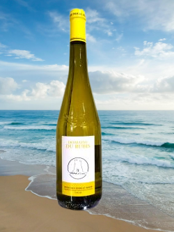 2023 petiteau laurent 250 pixels removebg preview