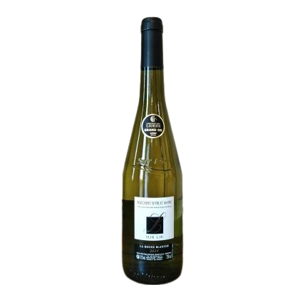 Muscadet Sèvre et Maine S/Lie 2024 Récompensé du Prix Grand OR au concours des vins du Val de Loire  : " Les Ligiers ".
Domaine de la Roche Blanche Vallet
