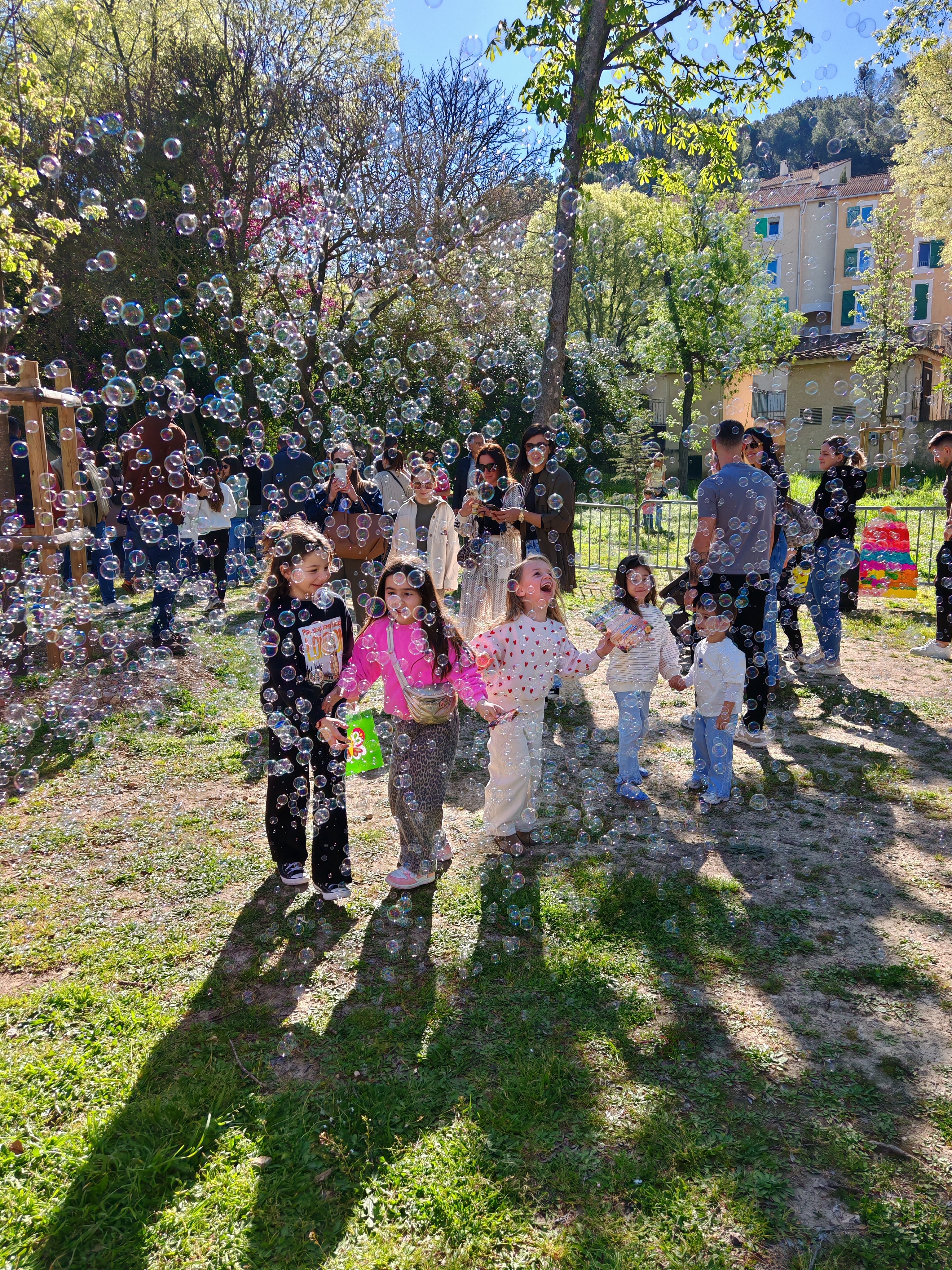 Img 20260404 103403