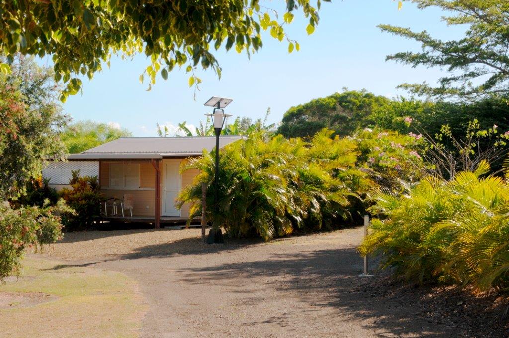 DSC 4555