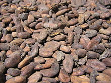 220px cacao