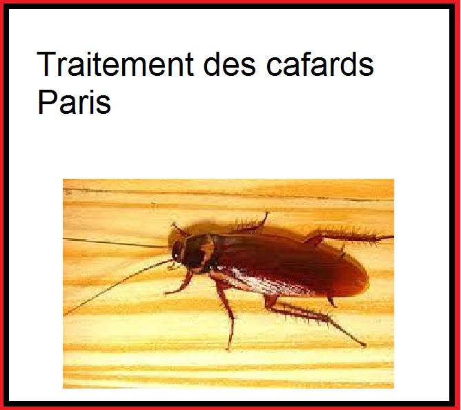 Traitement des cafards Paris