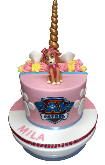 20210220 141949 1  removebg preview