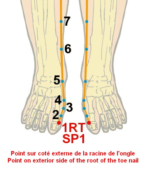 04 rate spleen 1