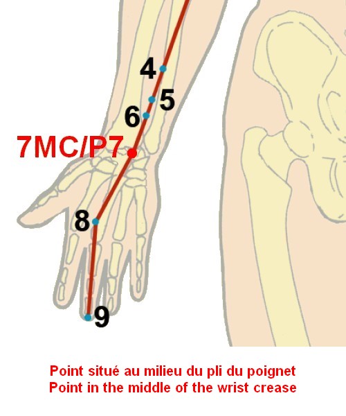 09 maitre coeur pericardium 7