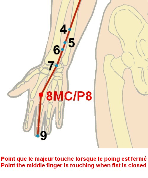 09 maitre coeur pericardium 8