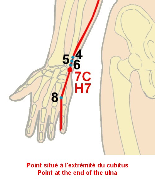 05 coeur heart 7