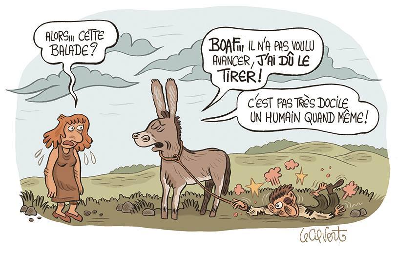Humour ane