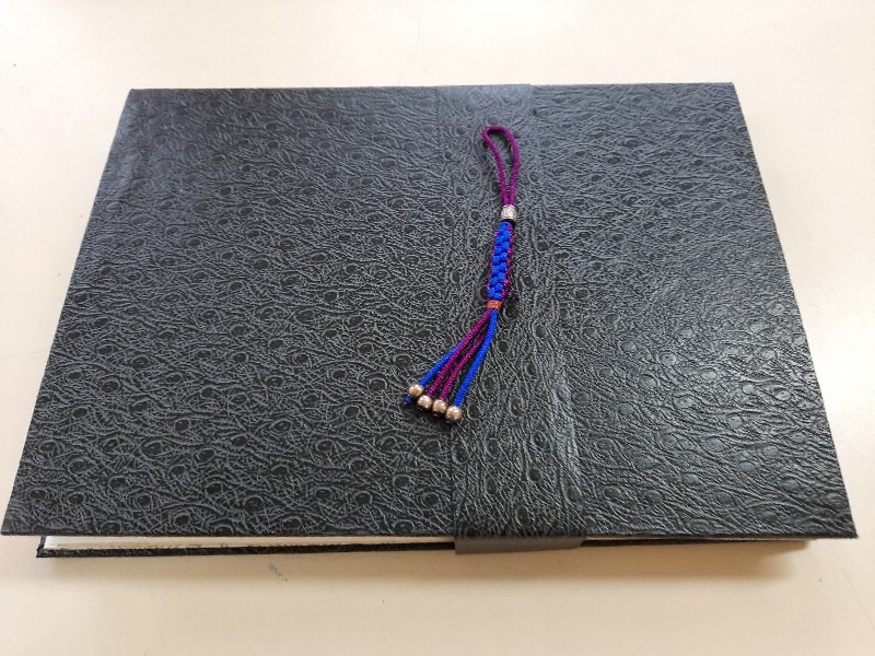 Them arts carnet de voyage cdv07