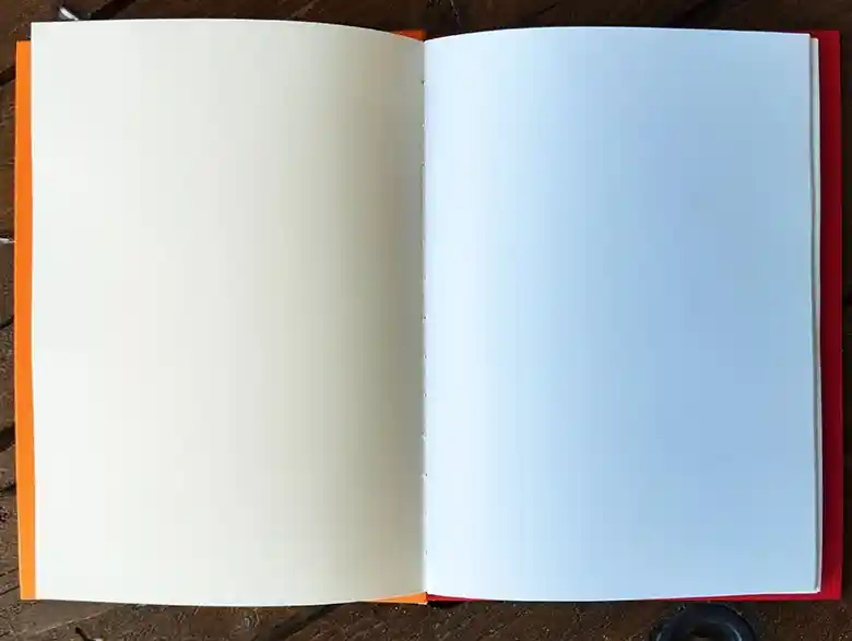 2025 06 carnet ginkgo 3 
