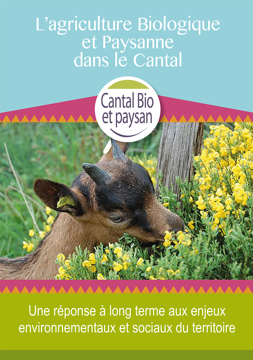 Cantal bio paysan