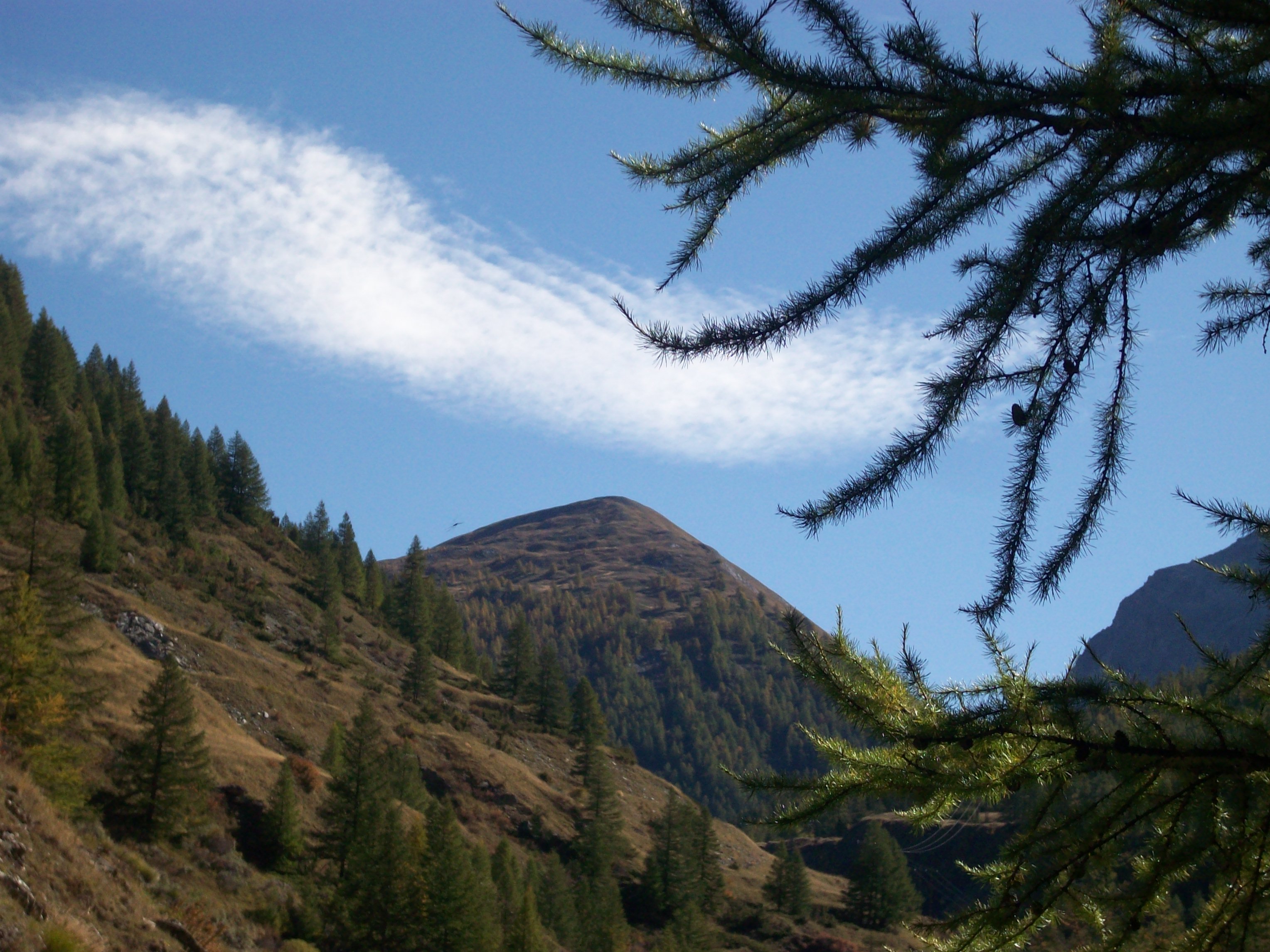 Nuage