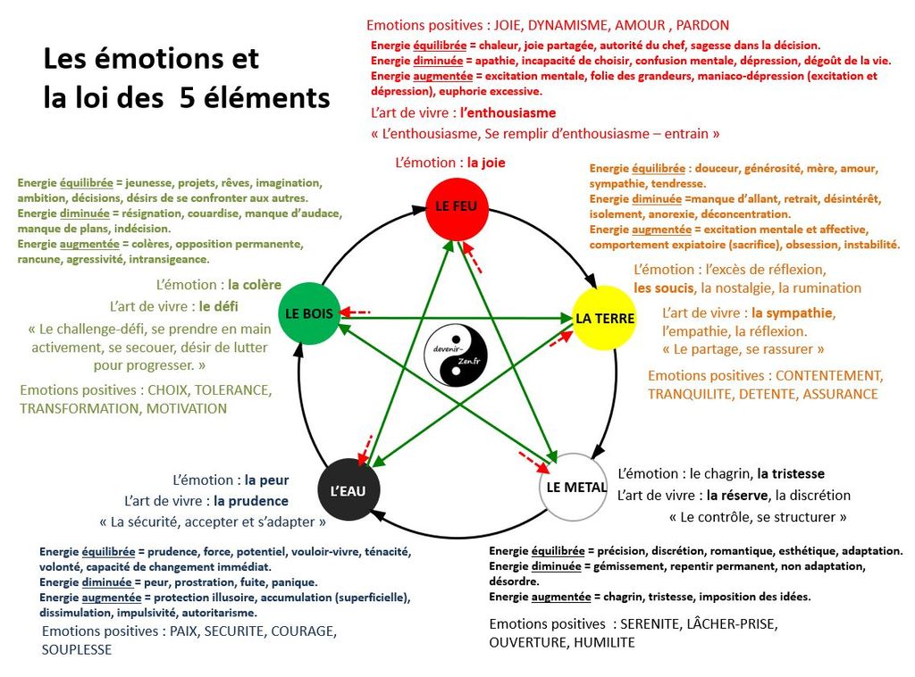 Nos émotions et nos organes ( lieu de somatisation) en lien avec  les 5 éléments de médecine chinoise ( Eau, Terre, Feu, Bois, Métal).