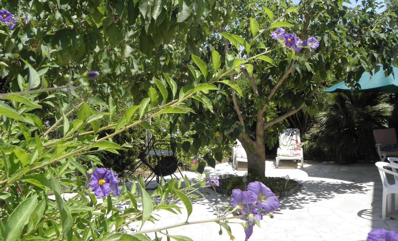 Jardin nord