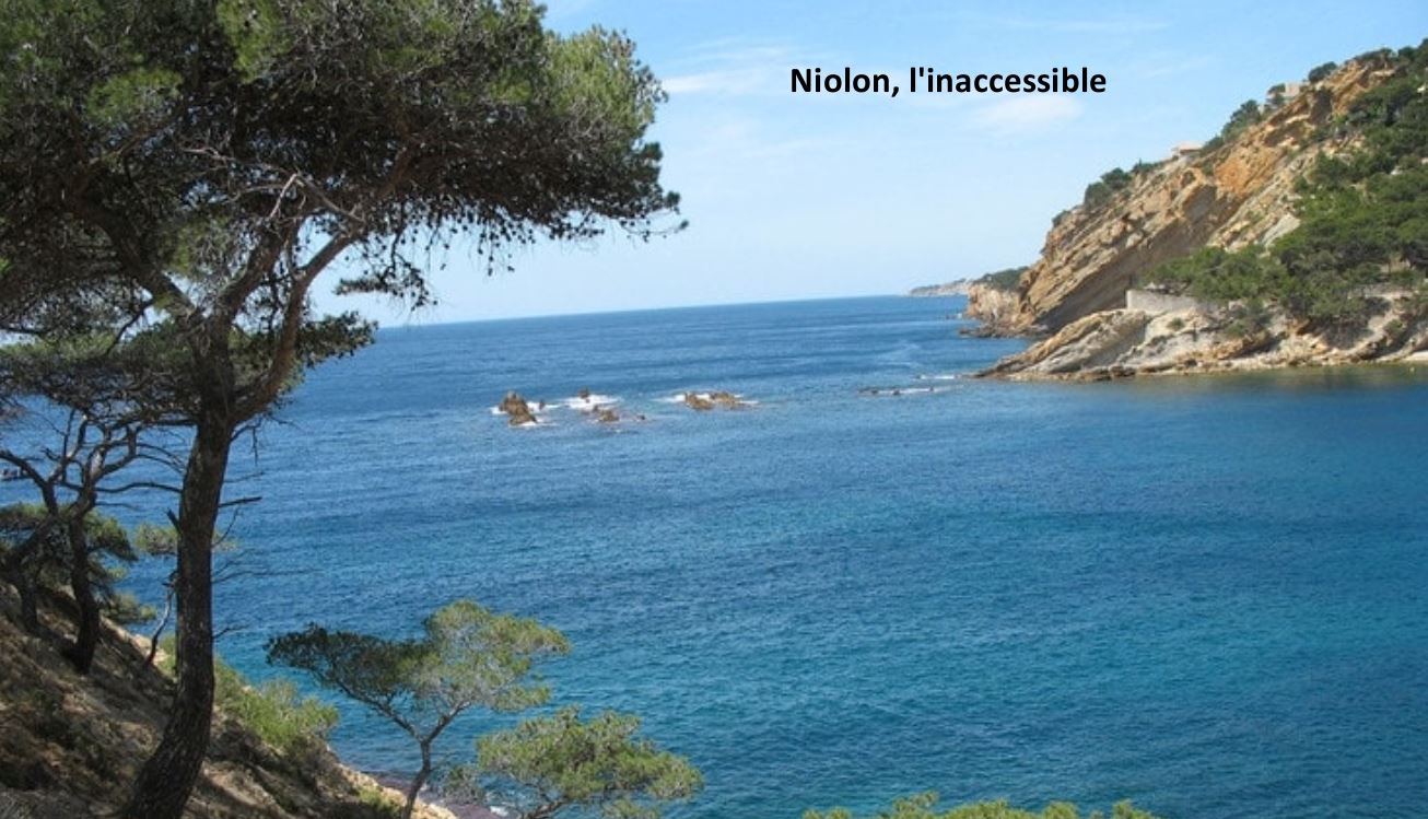 Niolon