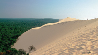 Dune du pyla