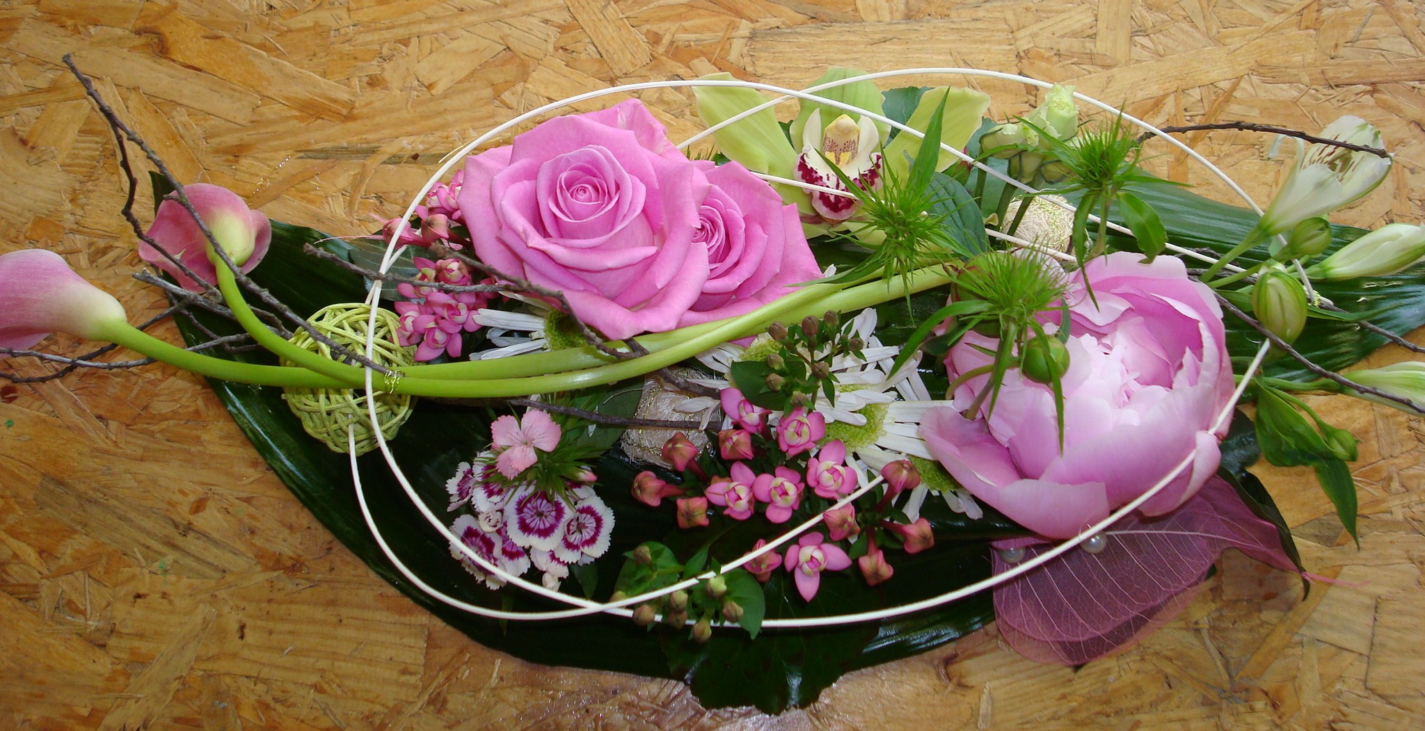 DSC02707