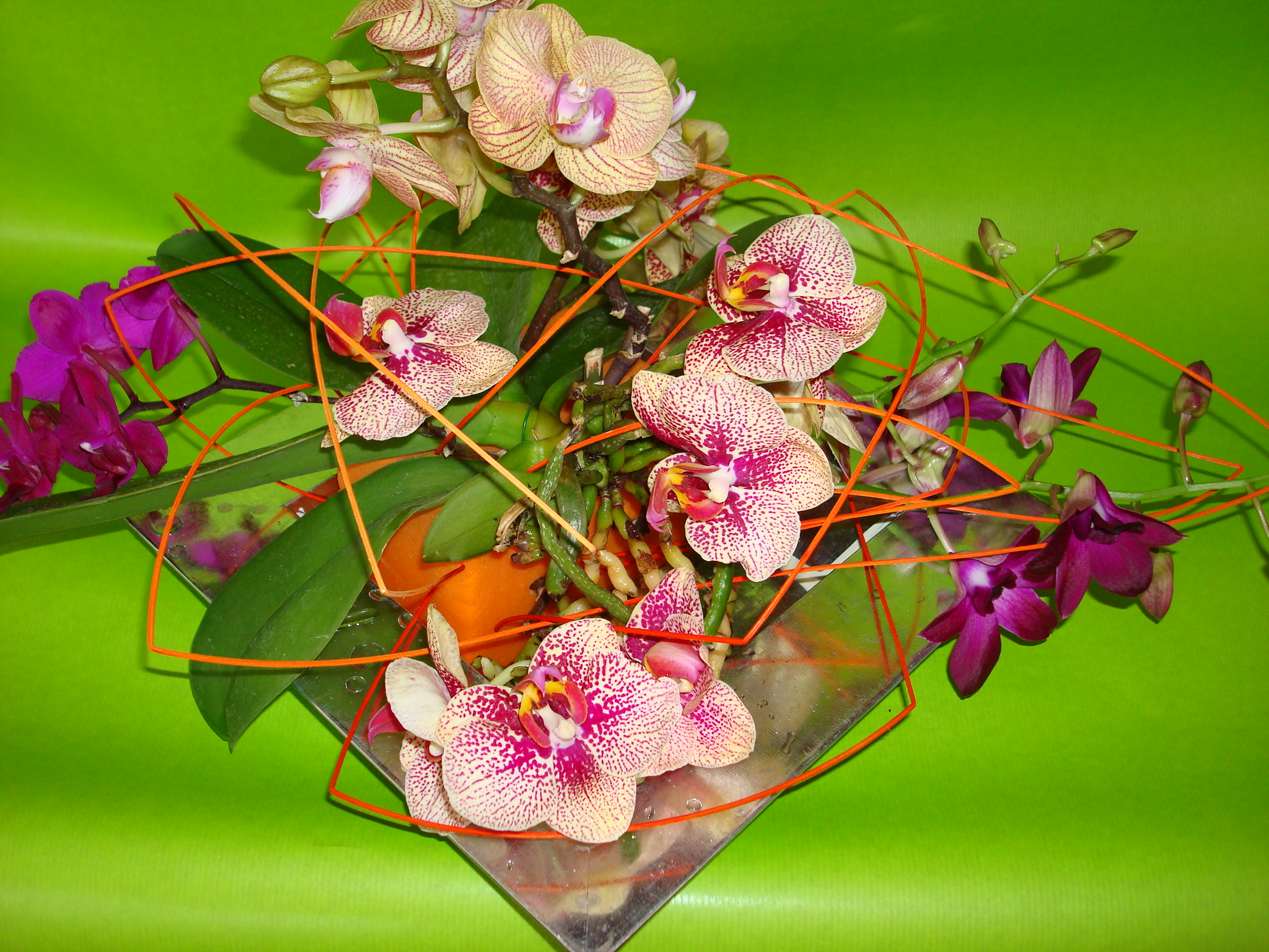 DSC02808