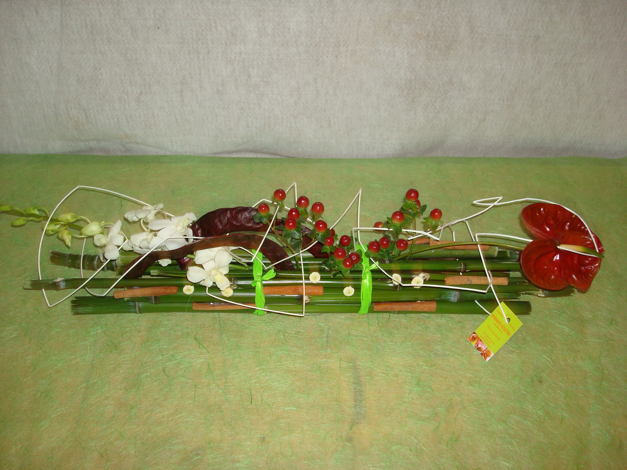 DSC02886