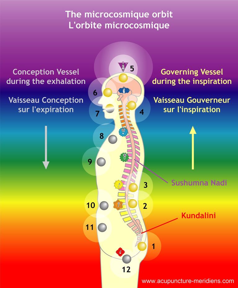 Microcosmique orbit sushumna kundalini