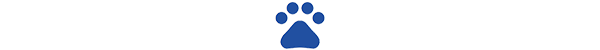 Bande blanc titre patte bleu