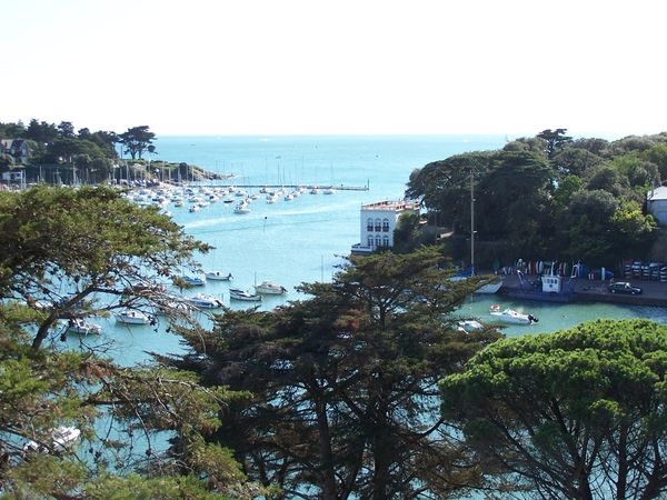Vue aerienne de l entree du port 84
