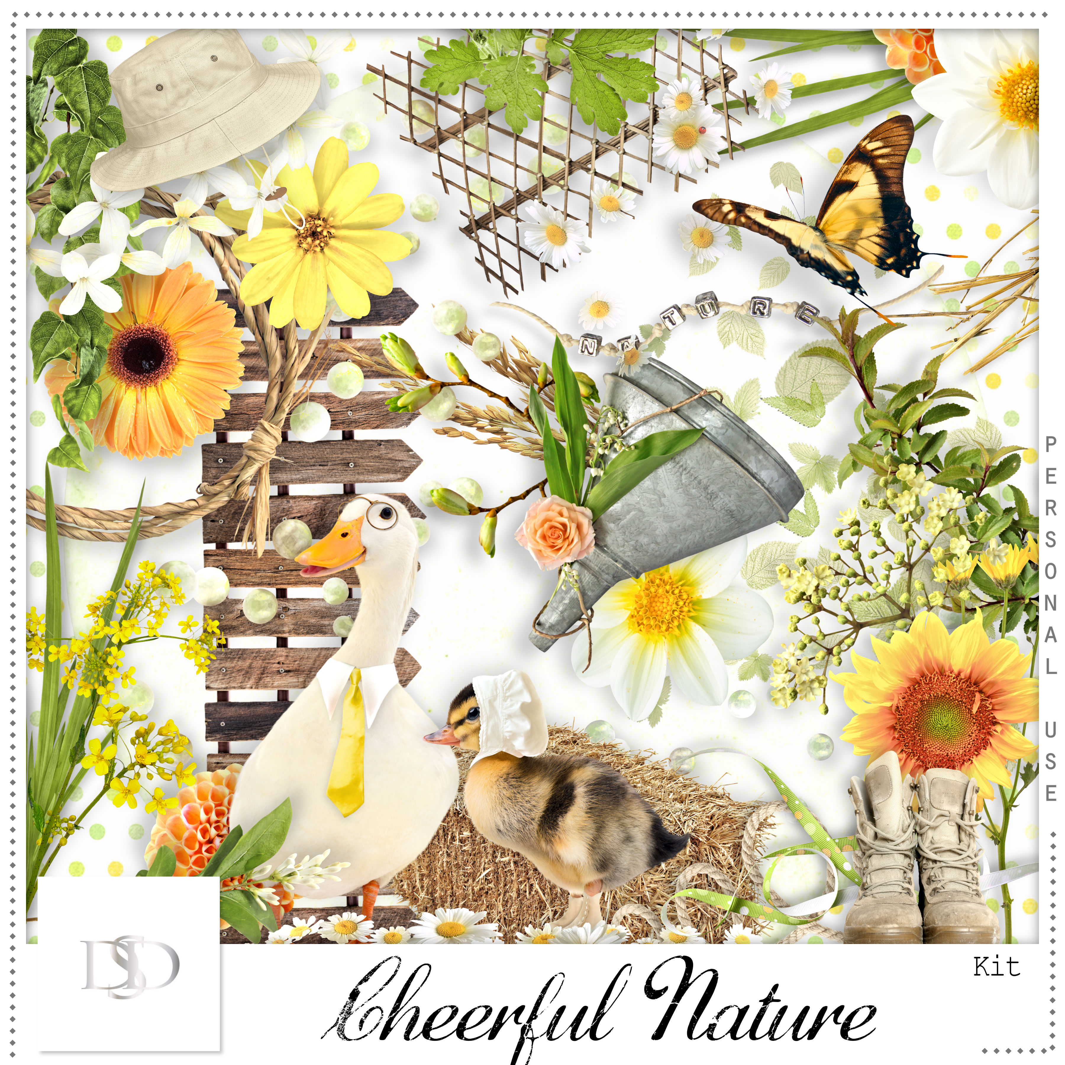 Dsd cheerfulnature kit