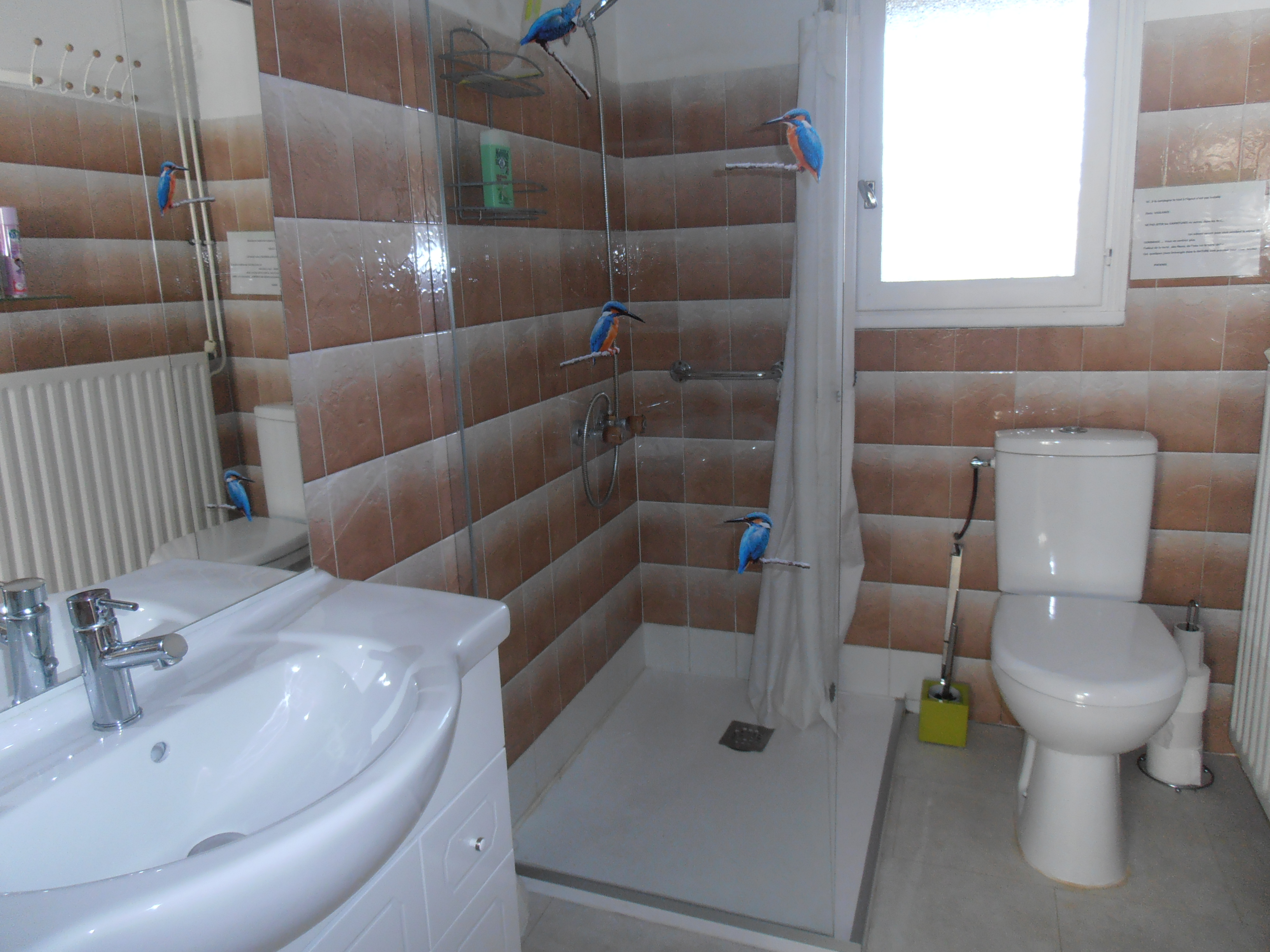 Wc sureleve et possible materiel d appui dans l abri de jardin