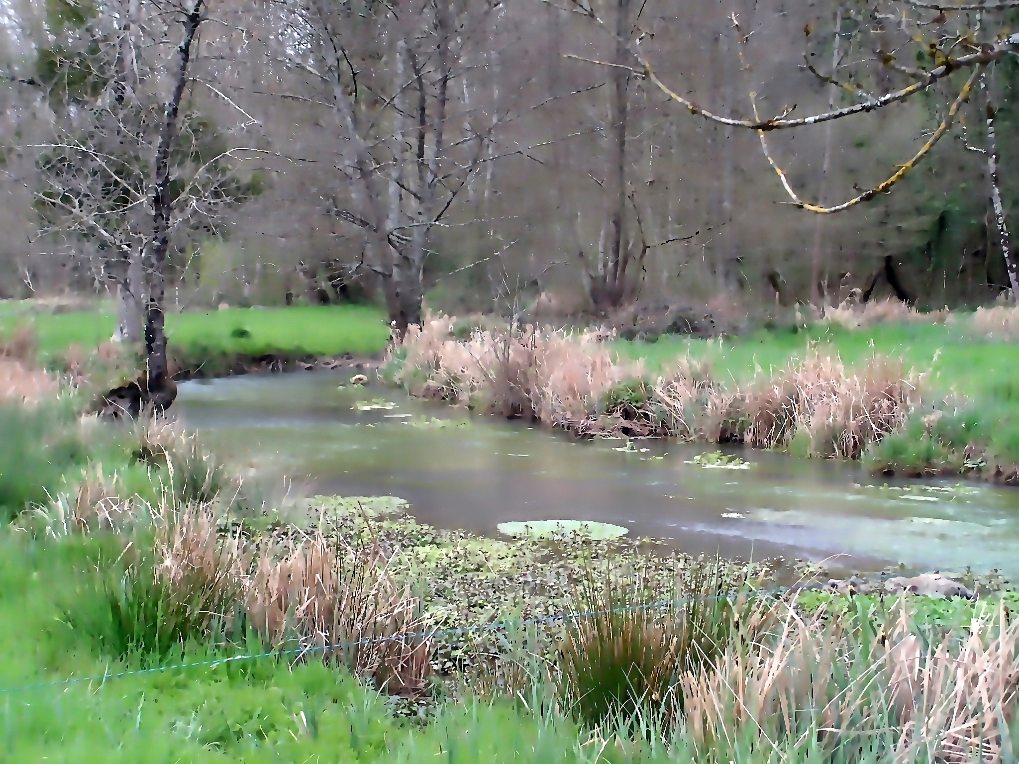 Terrain vers le son 12 