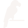 Icons8-perroquet-96-1-