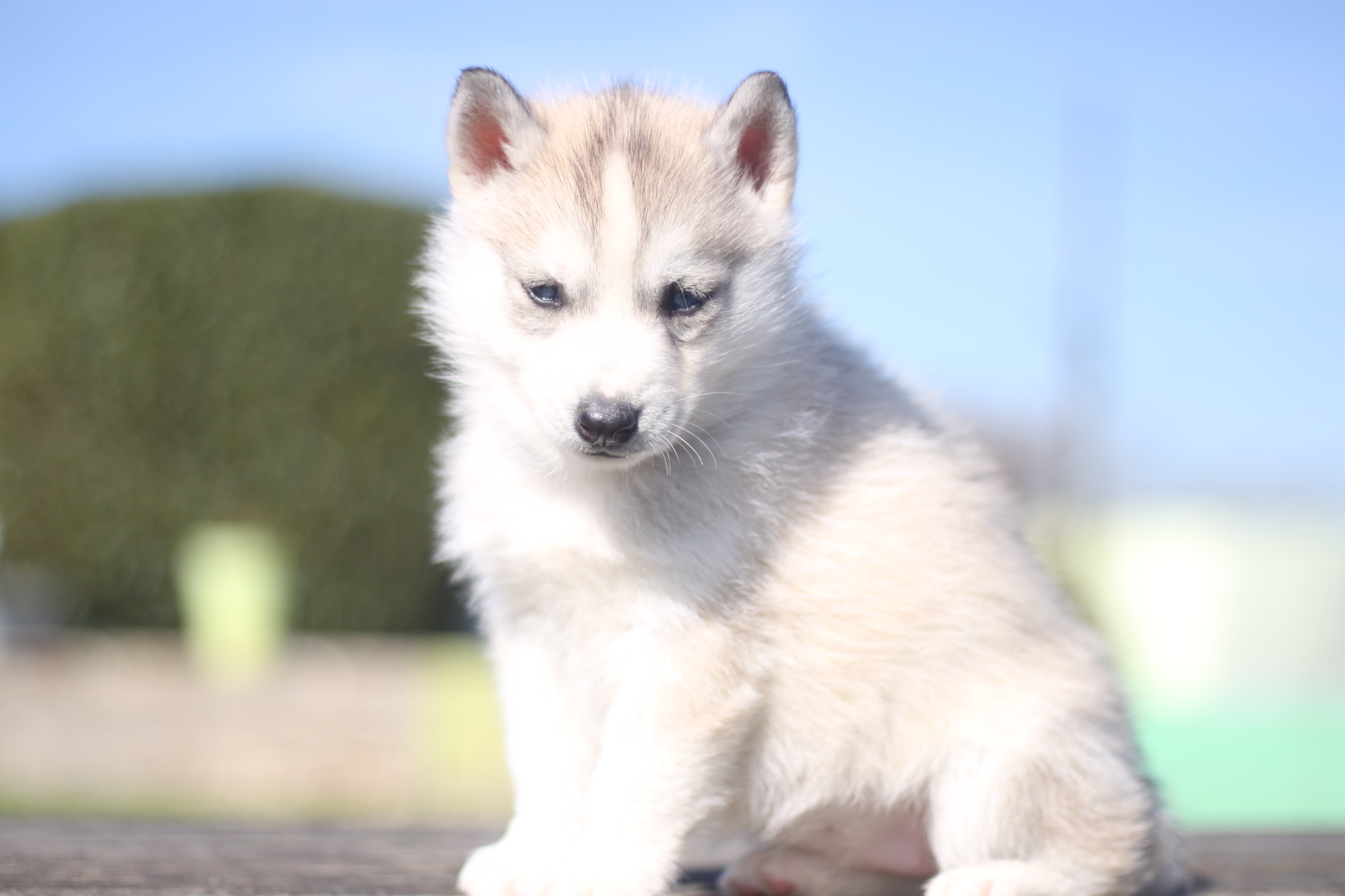 Naissance du 18 janvier 2026