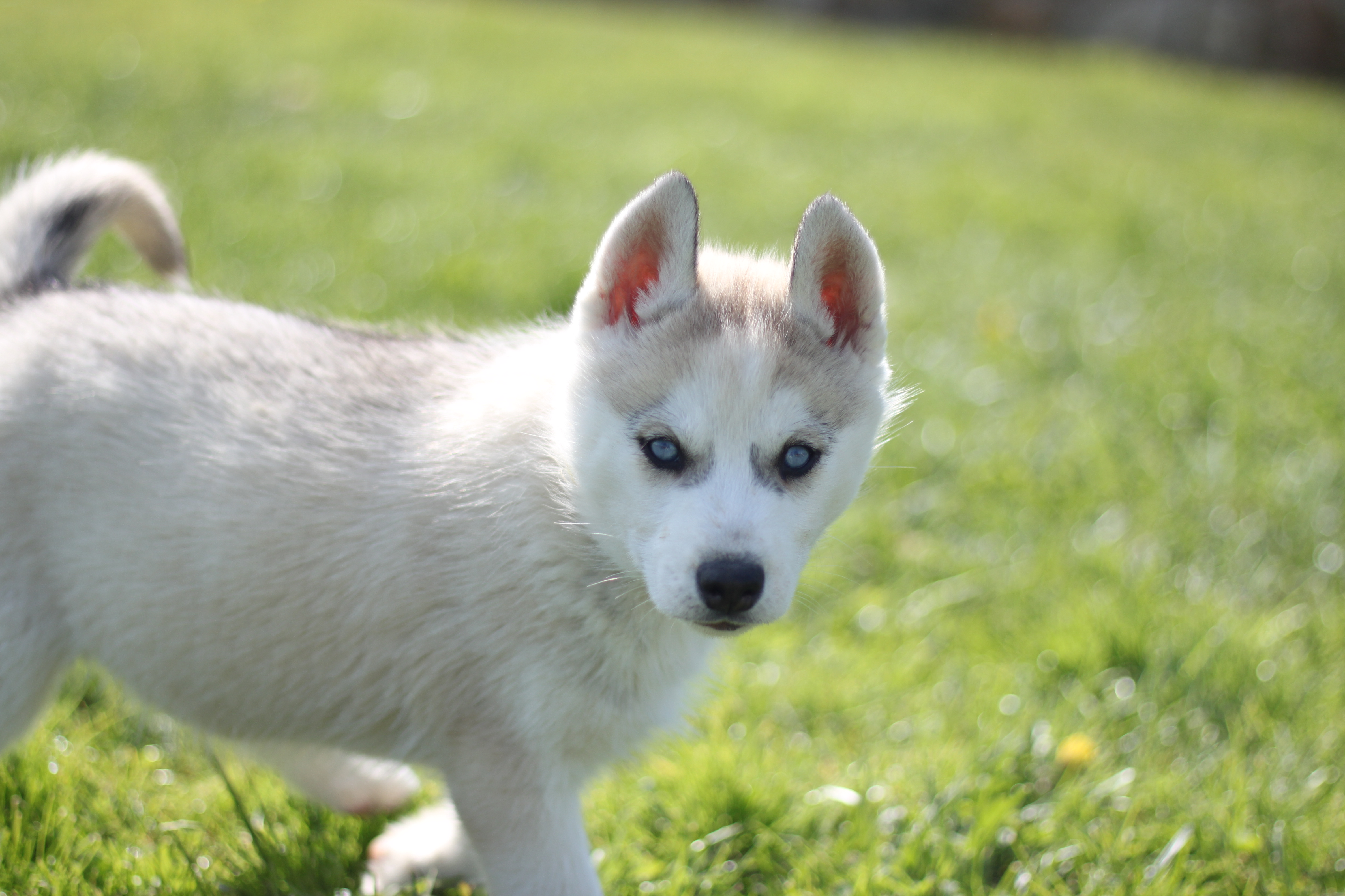 Naissance du 18 janvier 2026