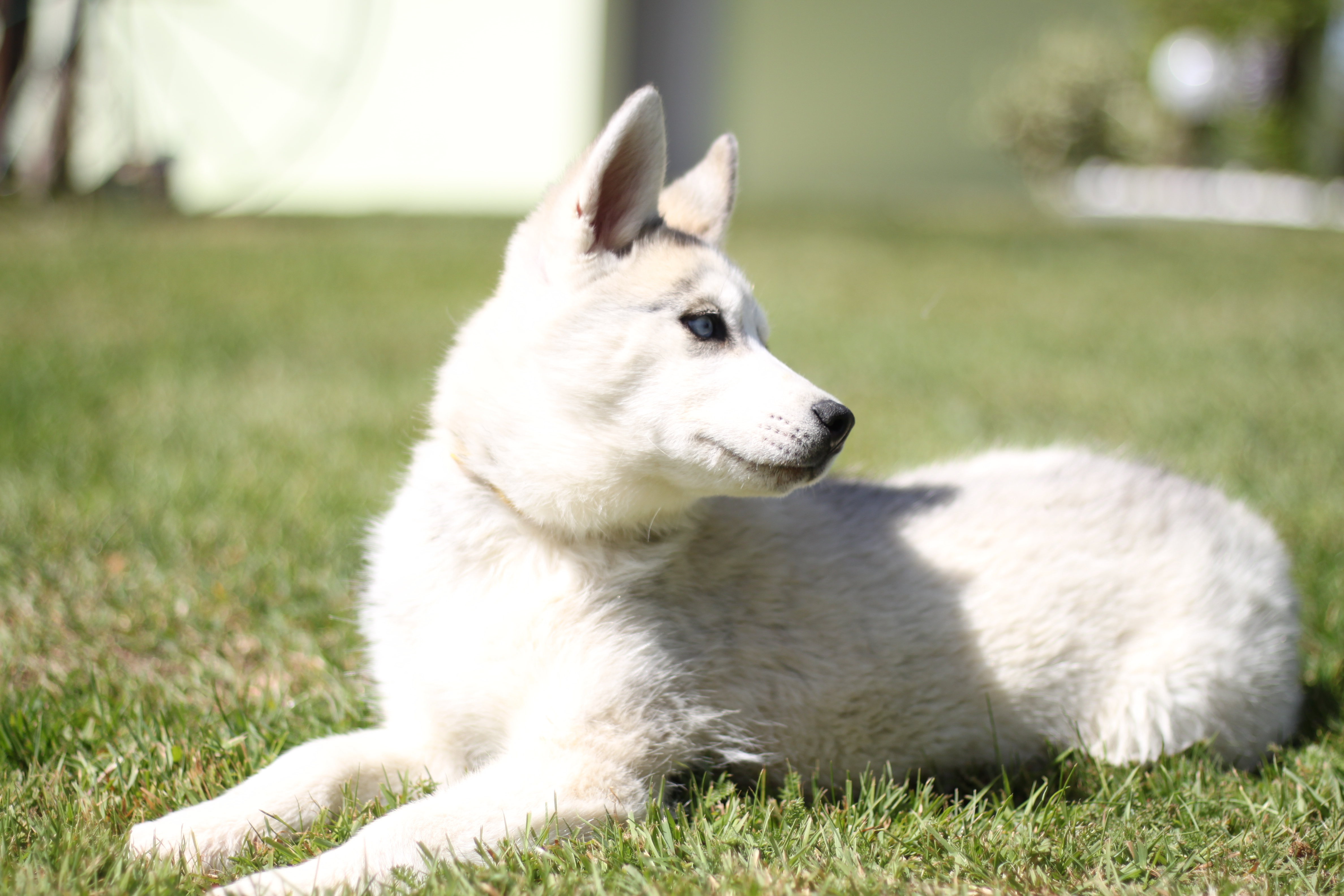 Naissance du 18 janvier 2026