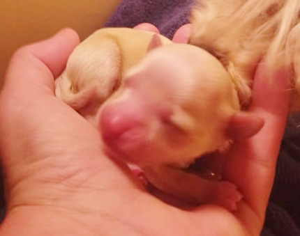 240723952 669808727746824 1988602453290241831 n