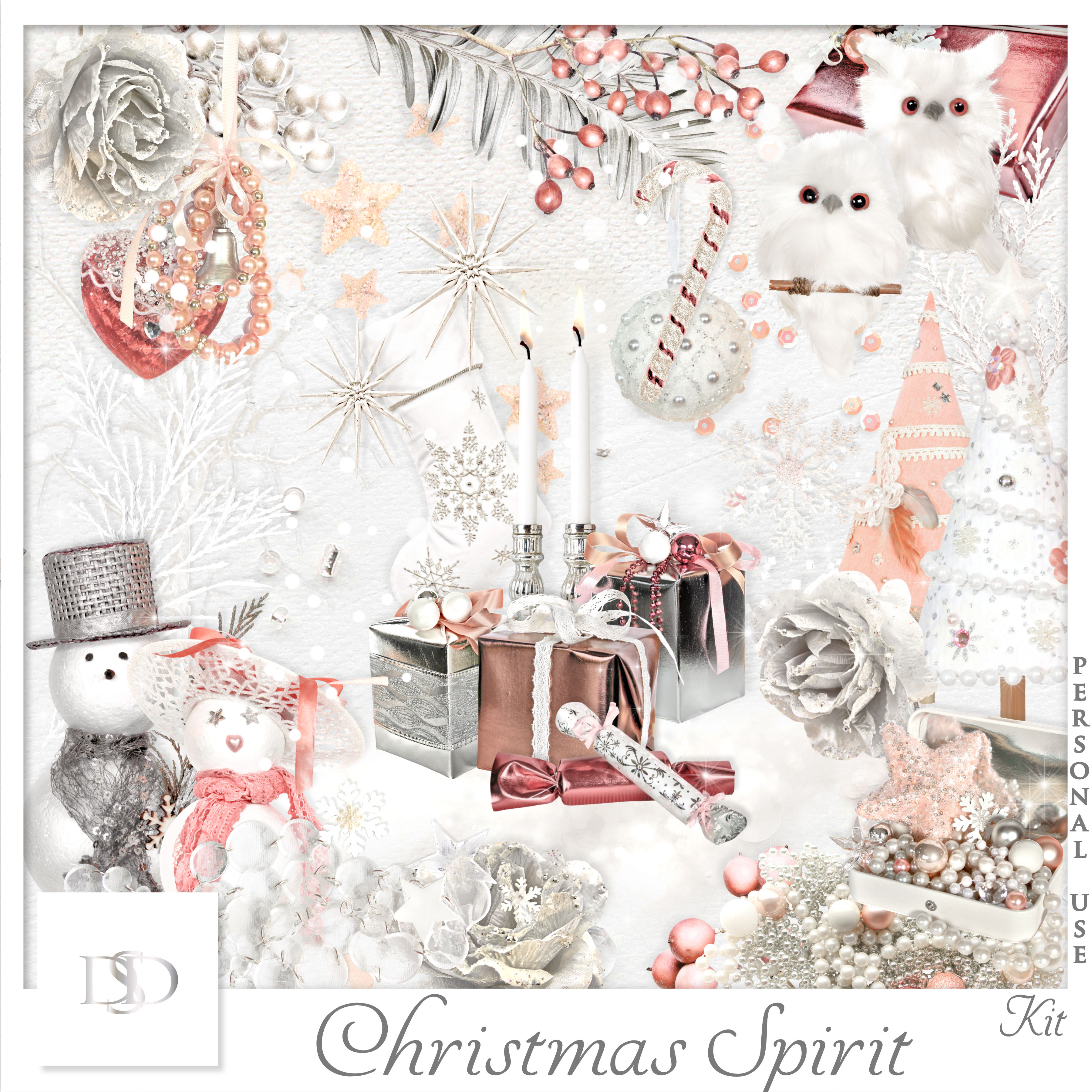 Dsd pv christmasspirit kit