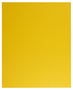 Macaron citron 244x300