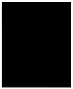 Glacee noir 39 244x300